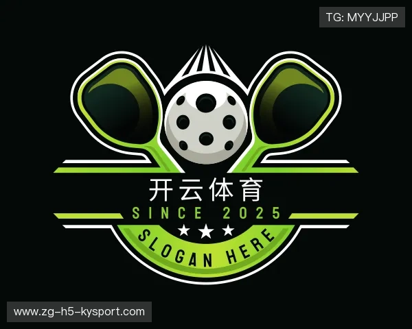 了解开云官网入口