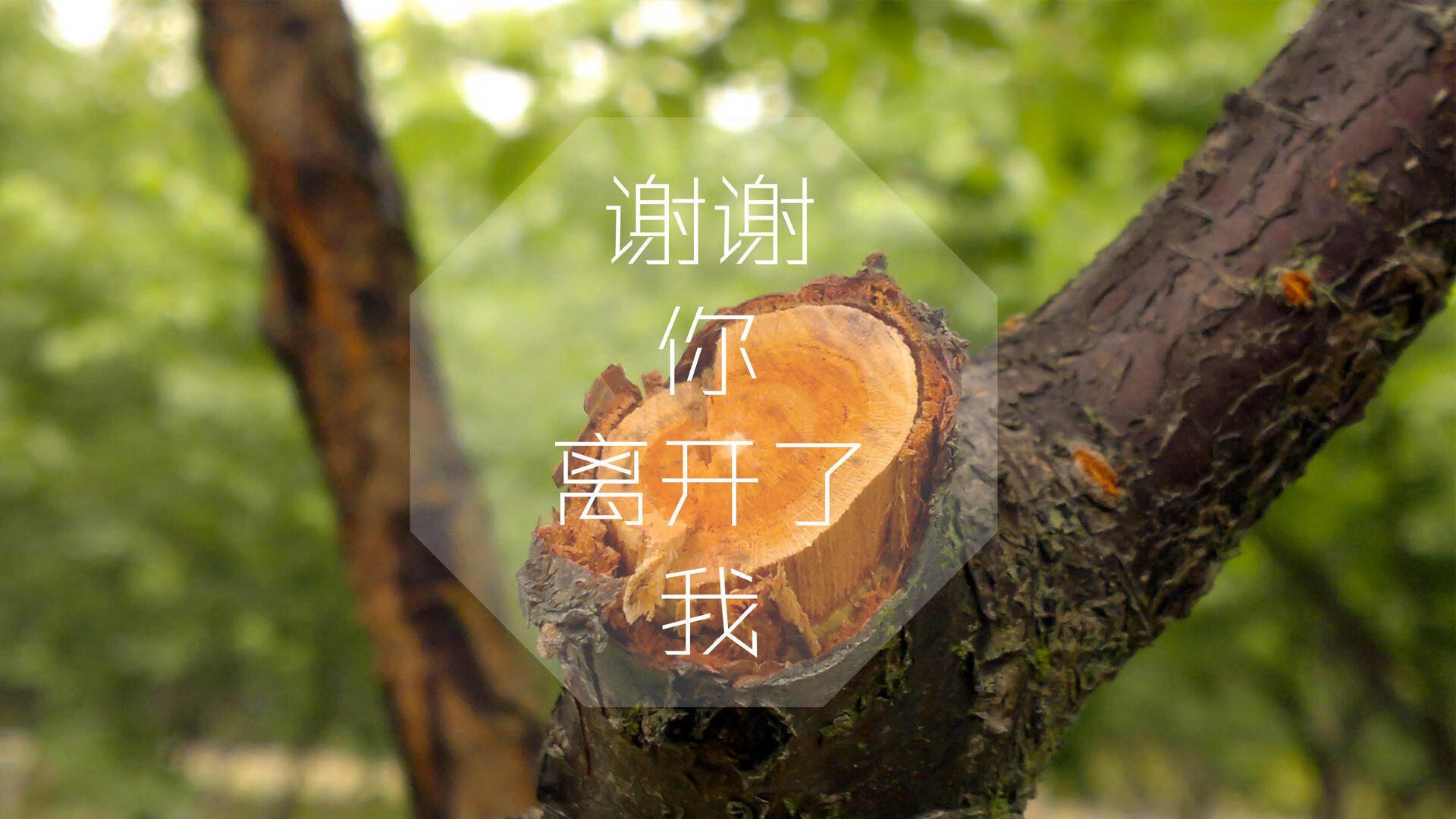 高校体育专业创新人才培养，高校体育专业创新人才培养方案