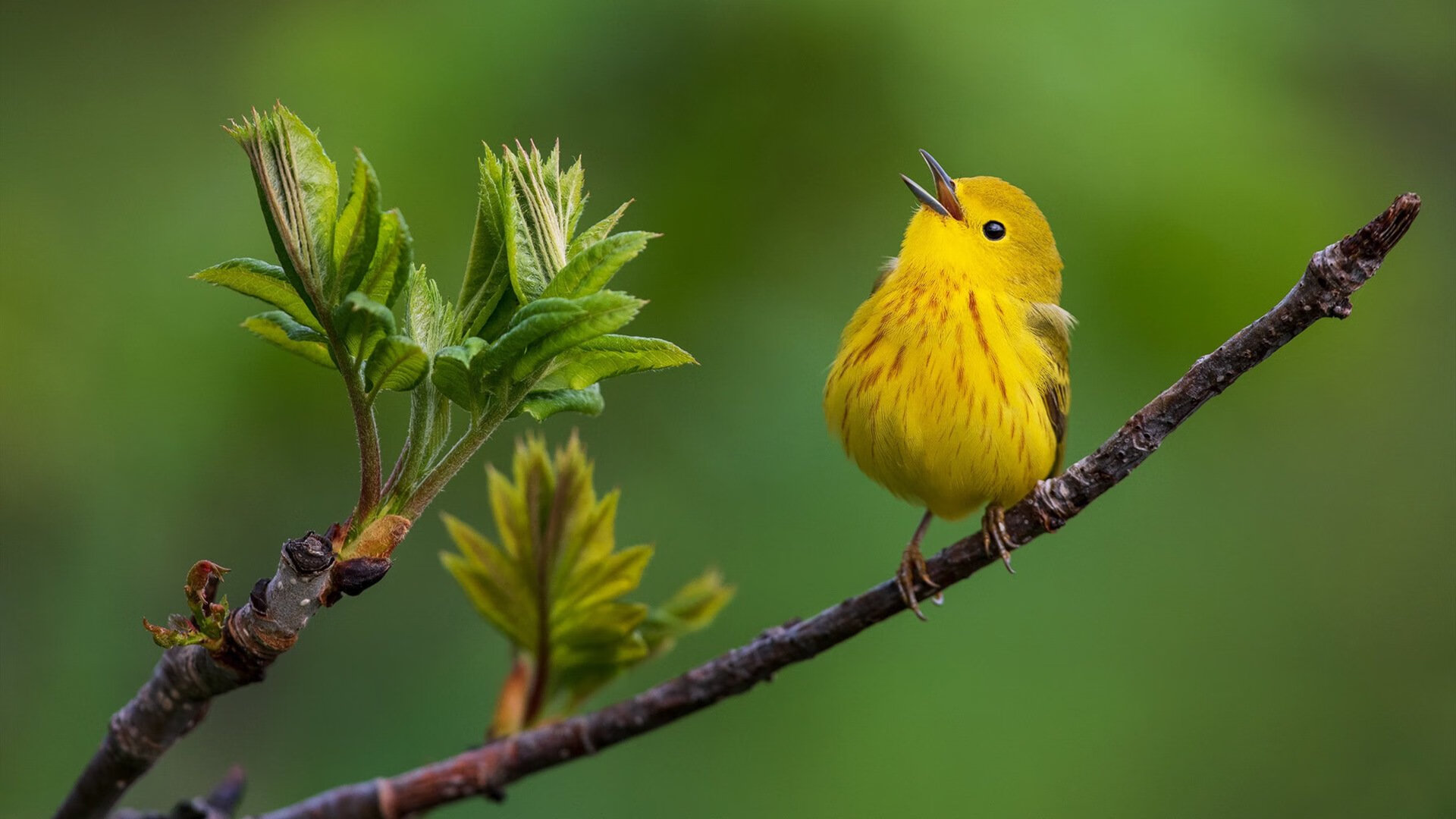 中国女篮团队配合日益默契,中国女篮和谁一组