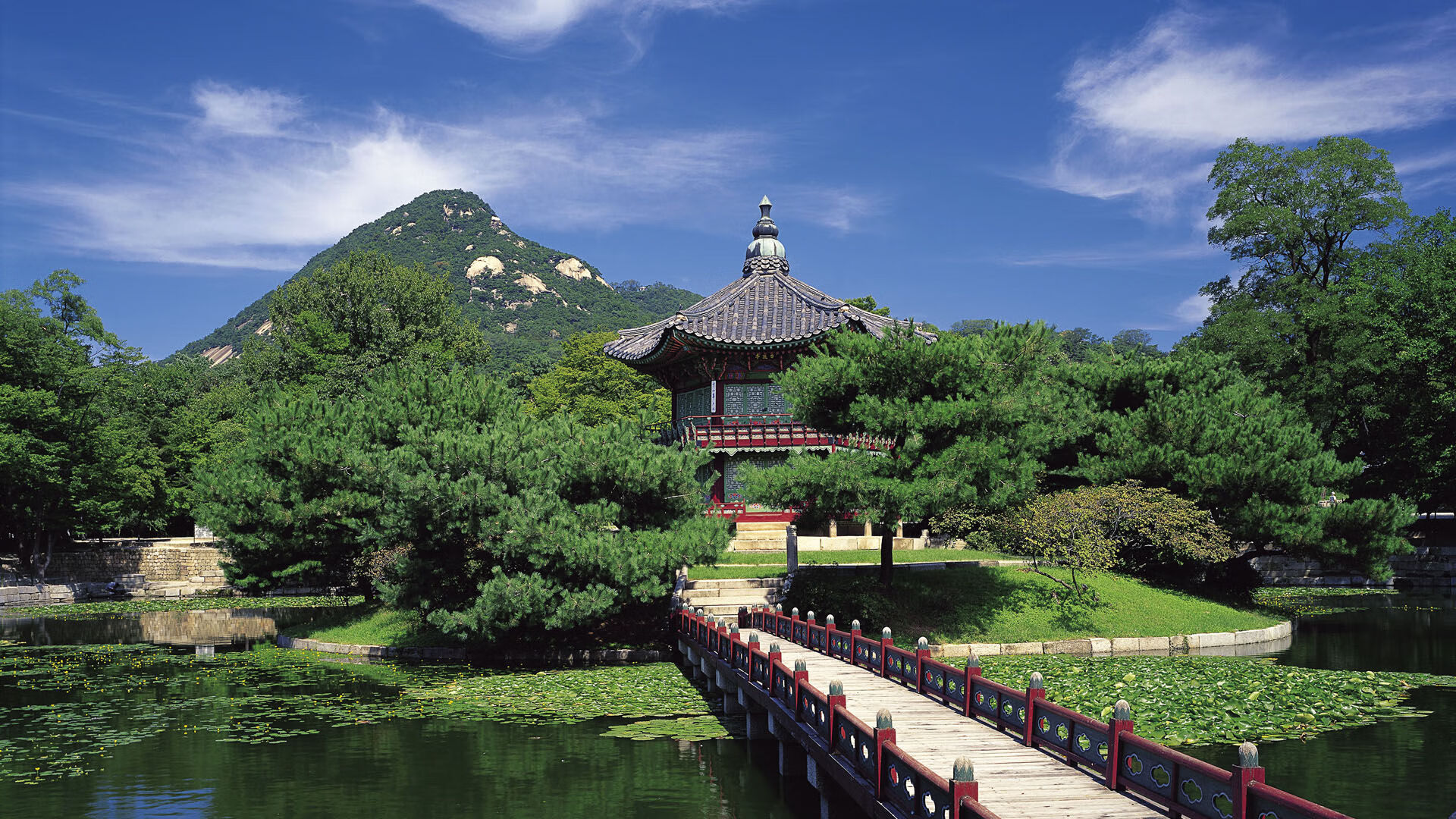 开云体育-皇家贝蒂斯反击节奏明快造成混乱，皇家贝蒂斯首发