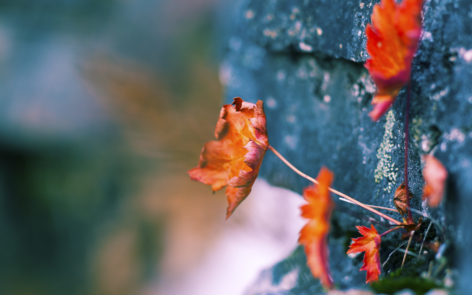 开云体育登录-篮球青训注重选手视野拓展与传导意识，篮球青少年实战训练为了什么