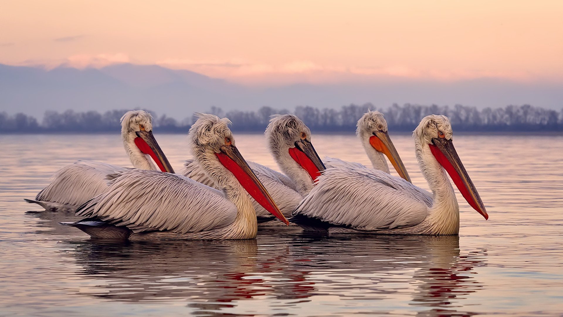高频次训练助力选手快速提升反应能力,高频次的意思