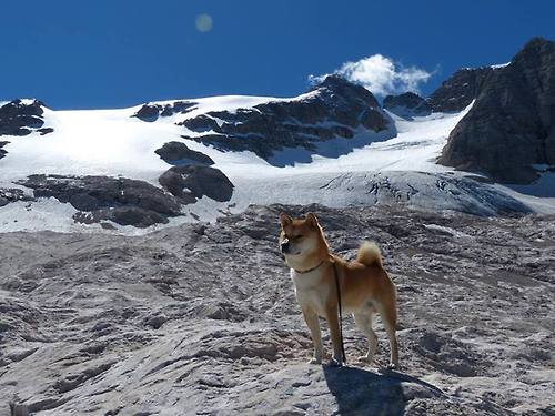 开云体育登录入口-丁俊晖分析比赛过程称细节决定成败，丁俊晖赛场上施展失传的绝技