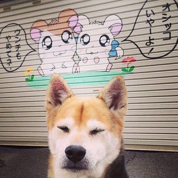 开云ky官网-体育综艺引入中国篮球元素增强青少年参与兴趣，篮球类综艺节目