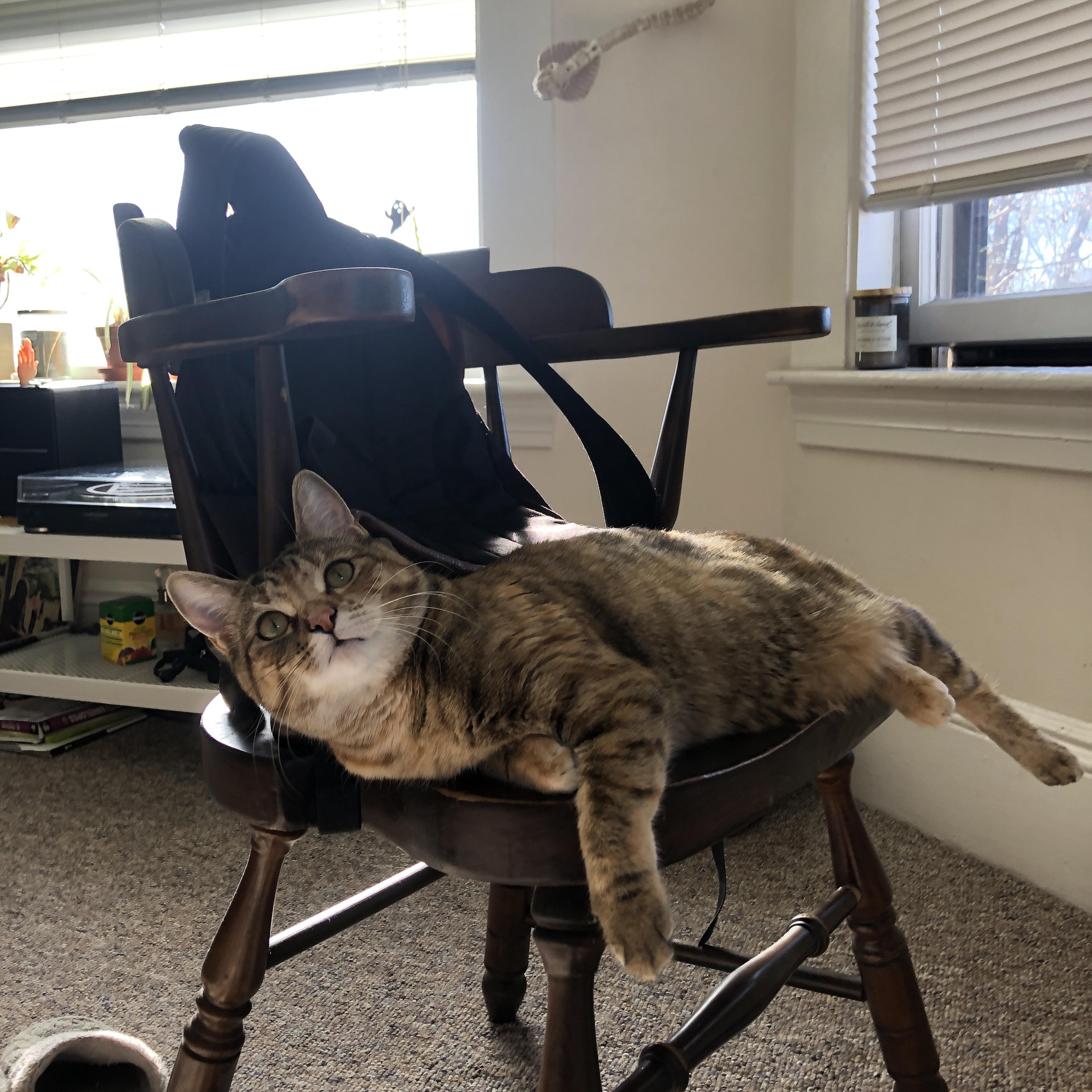 梅西领衔阿根廷稳步推进,冲击世界杯梦想