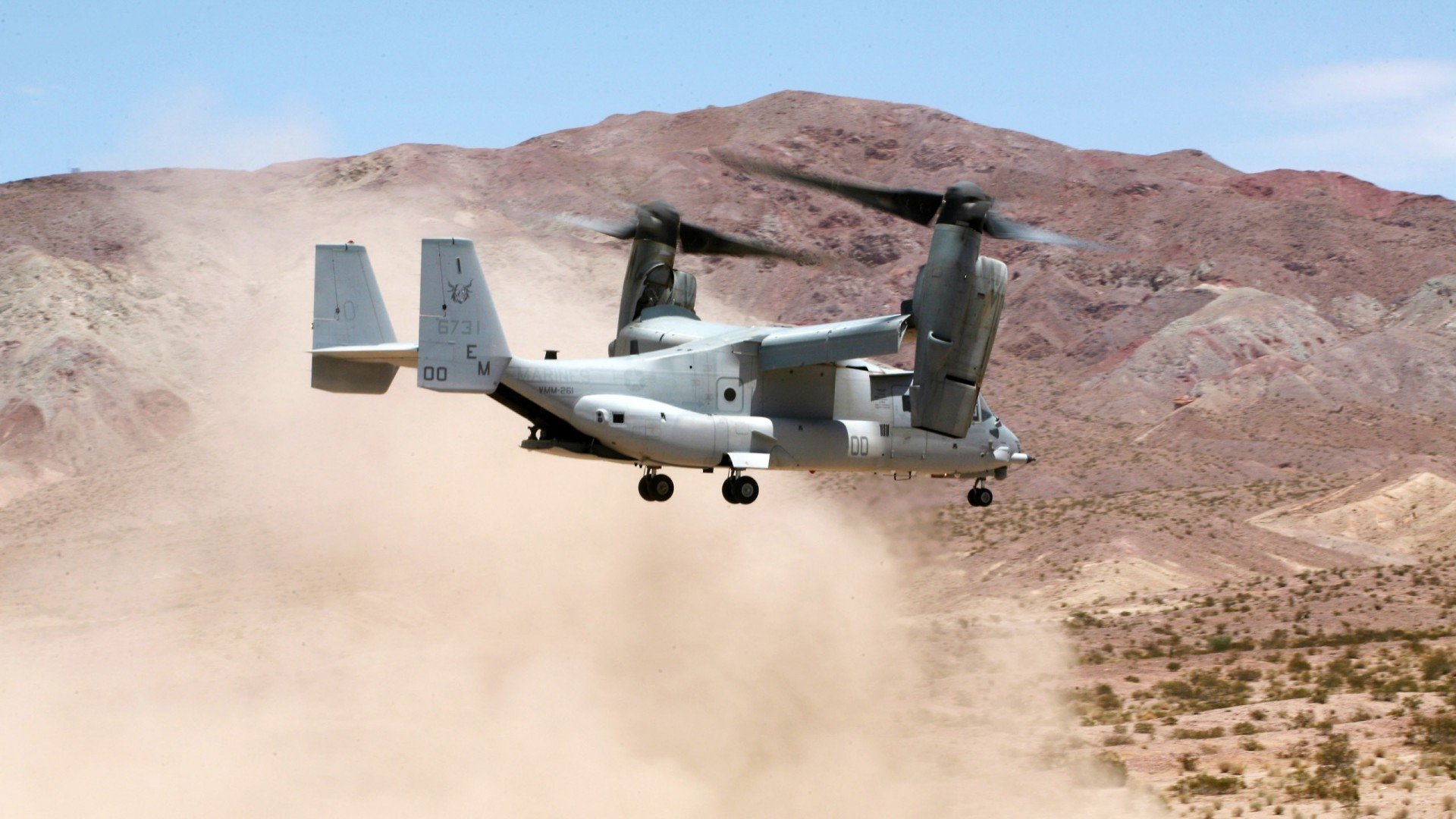 皮特·斯图斯领衔南非防线,带领羚羊队冲击冠军