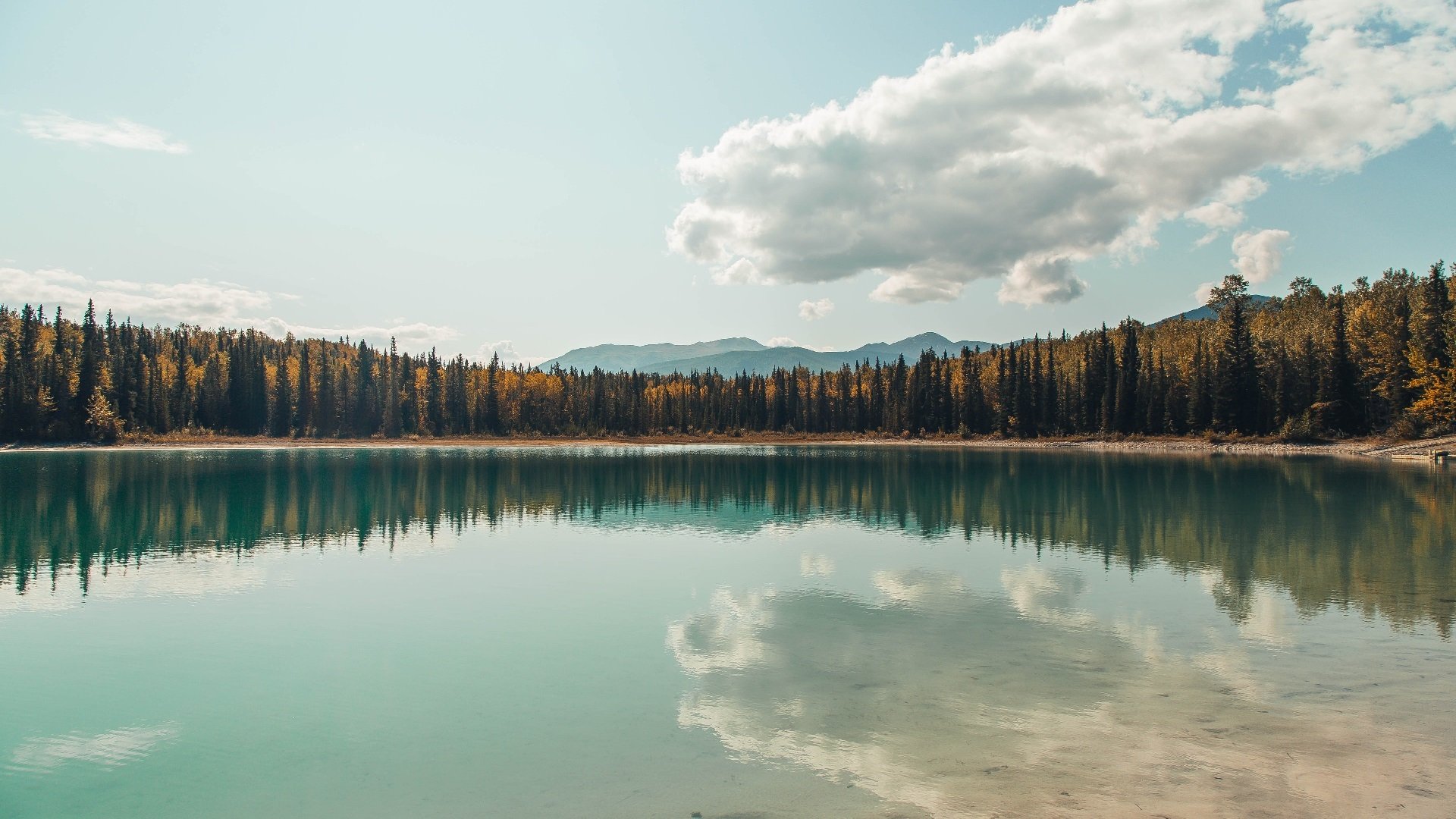 英式橄榄球训练法走向国际,英式橄榄球训练方法