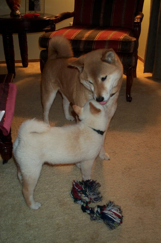 开云体育网站-马克·阿特金森：无畏的边锋，用突破创造无限进攻机会，阿特·马里克