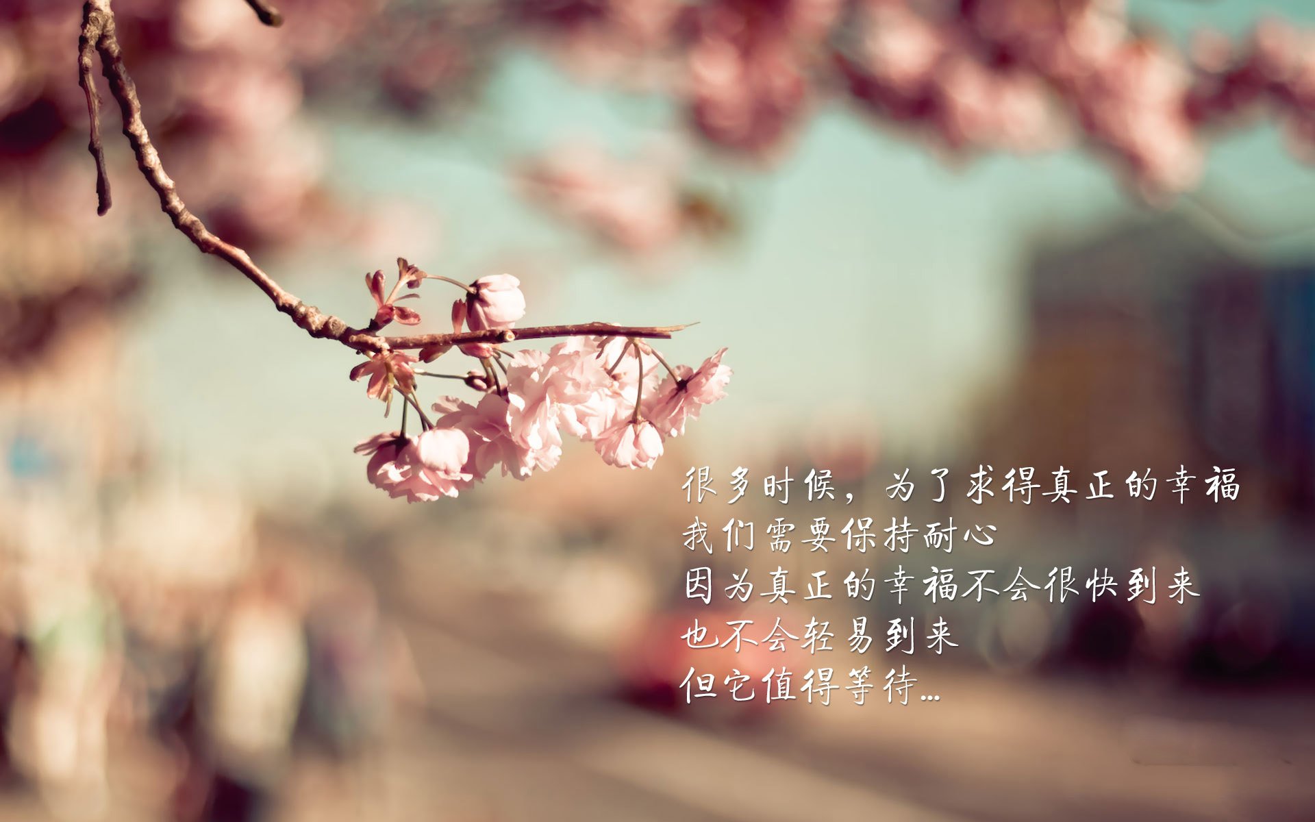 开云体育官网下载-麦金托什完美转身成制胜关键，麦金托什海报